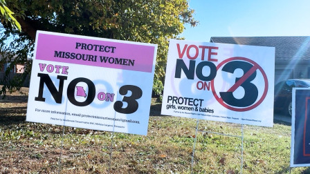 Vote No on 3